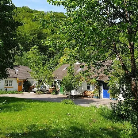 Gruene Haus Allein Fuer Dich! *