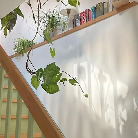 Сasa de vacaciones Grüne Haus Allein Für Dich! *