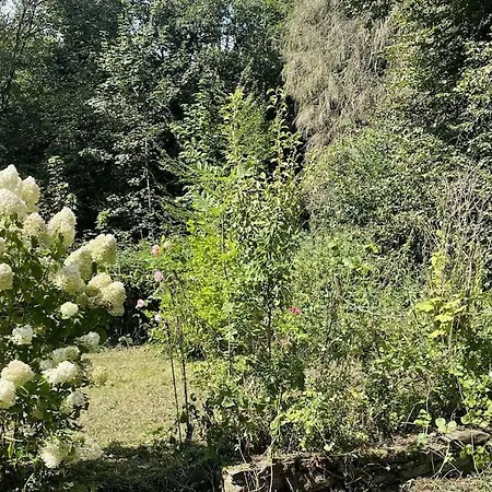 Gruene Haus Allein Fuer Dich! Burg an der Wupper