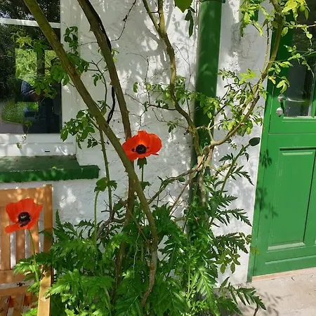 Gruene Haus Allein Fuer Dich! Holiday home Burg an der Wupper