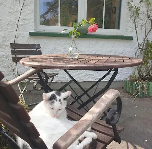 Gruene Haus Allein Fuer Dich! Casa vacanze