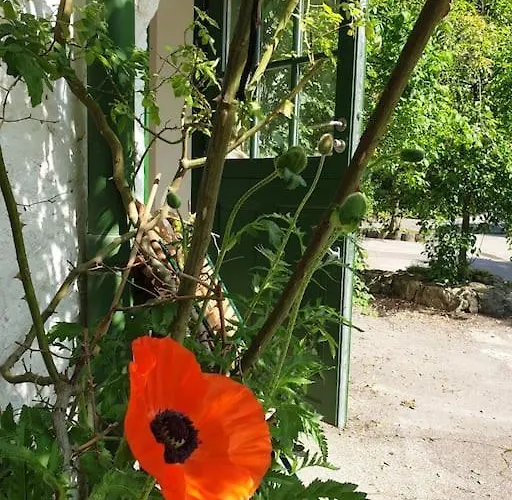 Casa vacanze Gruene Haus Allein Fuer Dich! Burg