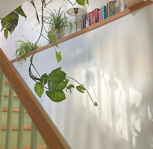 Casa vacanze Gruene Haus Allein Fuer Dich! *