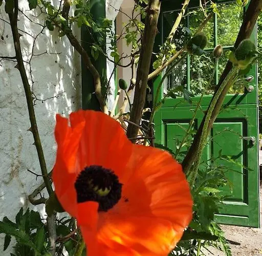 Casa vacanze Gruene Haus Allein Fuer Dich!