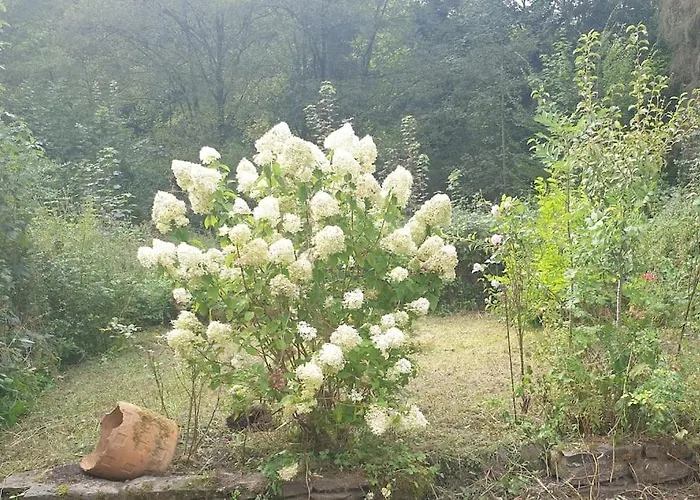 Gruene Haus Allein Fuer Dich! Casa vacanze *