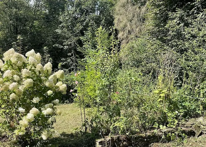 Gruene Haus Allein Fuer Dich! Burg